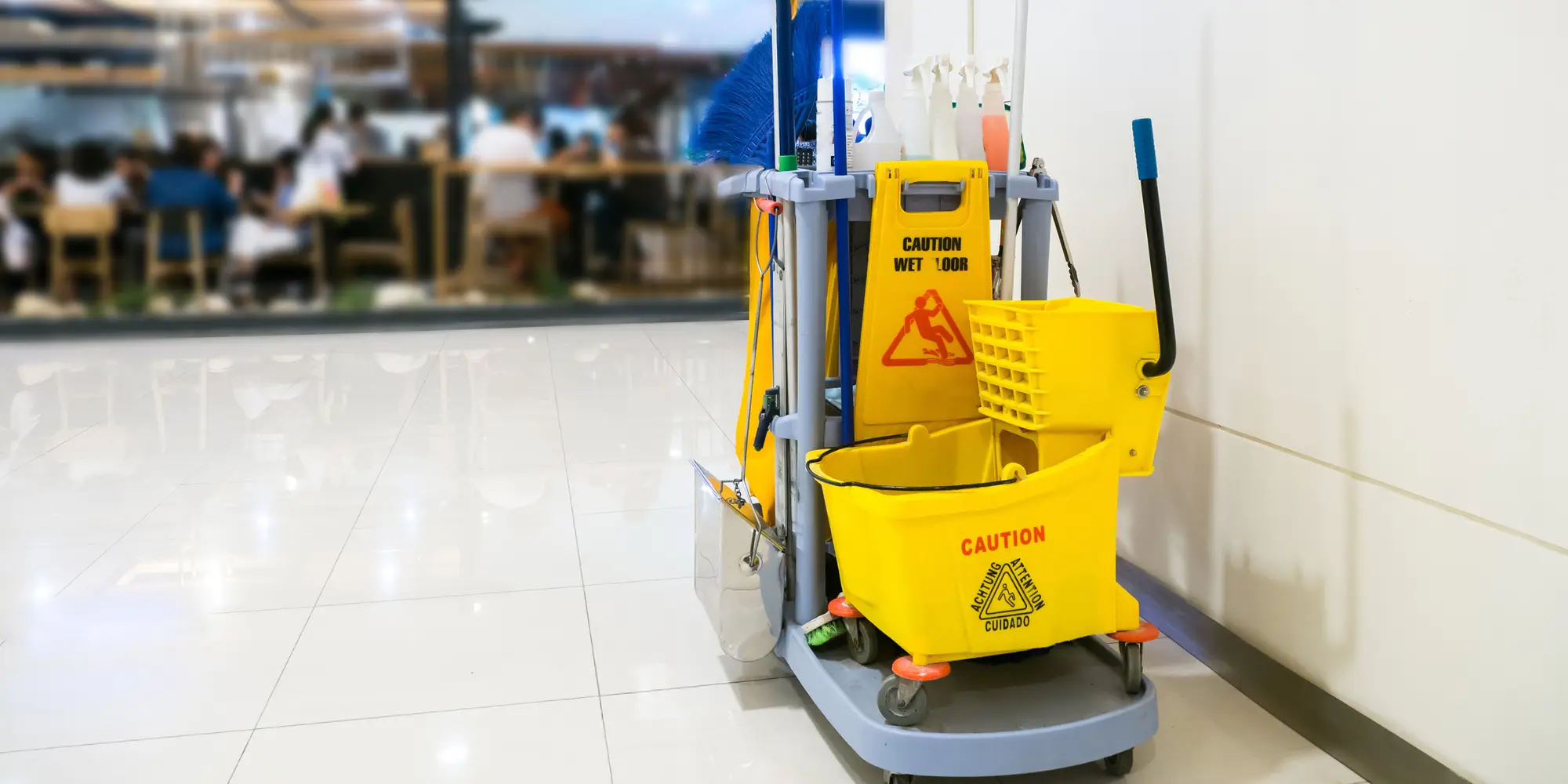 Santa Luz Janitorial Services