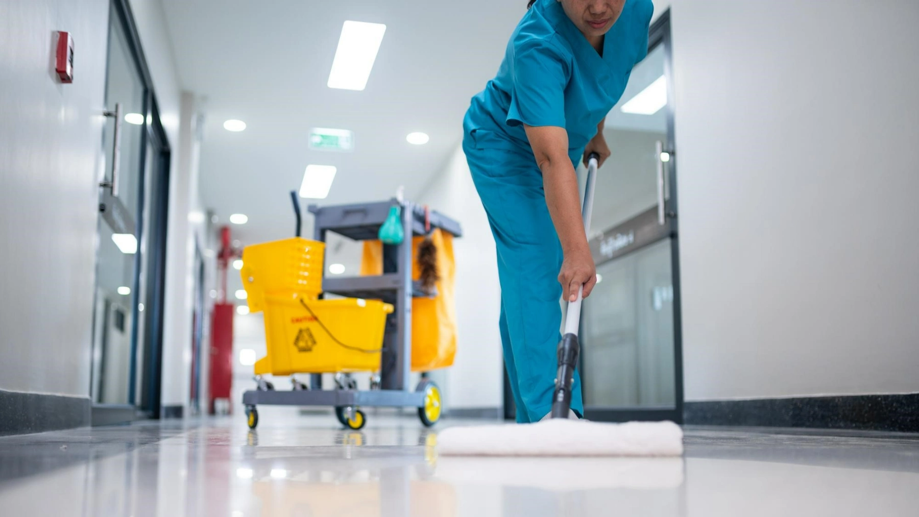 Veterinary Clinic Cleaning and Disinfection